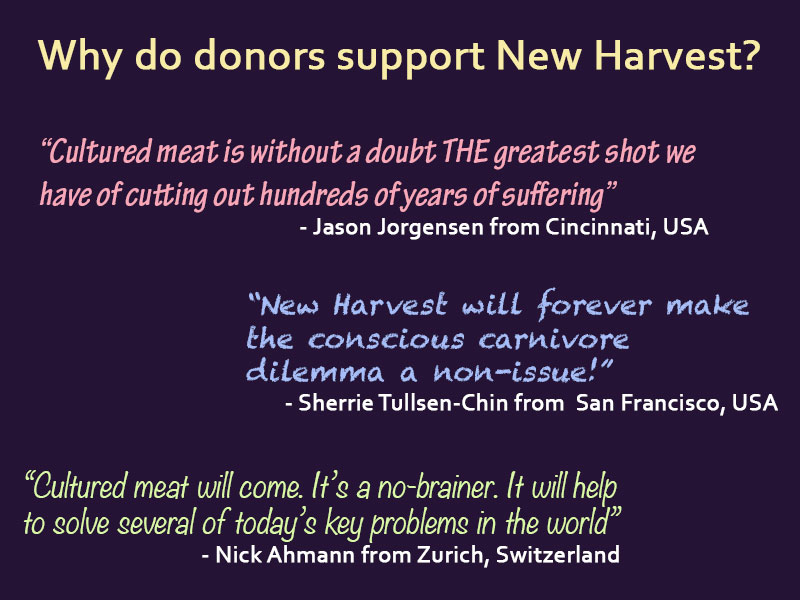 Quotes on why donors donate
