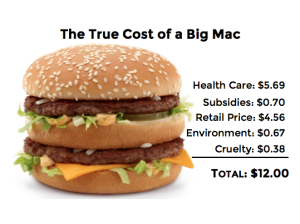 Shawing the true cost of a big mac includes healthcare, subsidies, retail price, enviroment, and cruelty