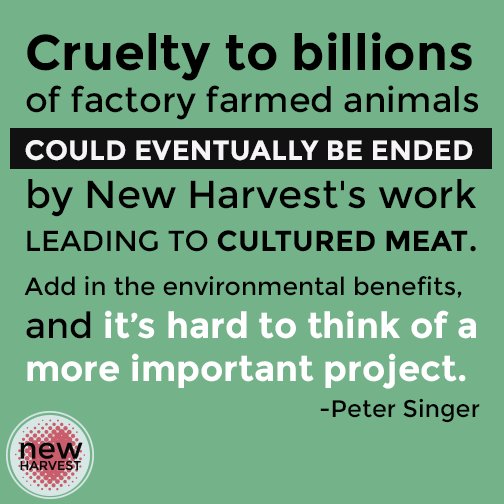 Poster saying 'cruelty to billions of factory animals could eventually ended by New Harevest's work leading to cultured meat. Add in the enviromental benefits and its hard to think of a more important project.