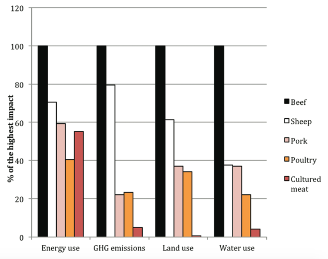 chart showing enviromental imact of different meats. Beef is by far the most impactful.