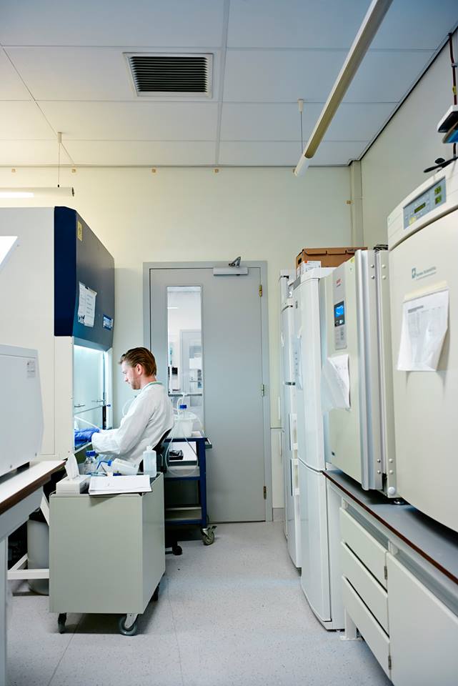 Dan working in the lab