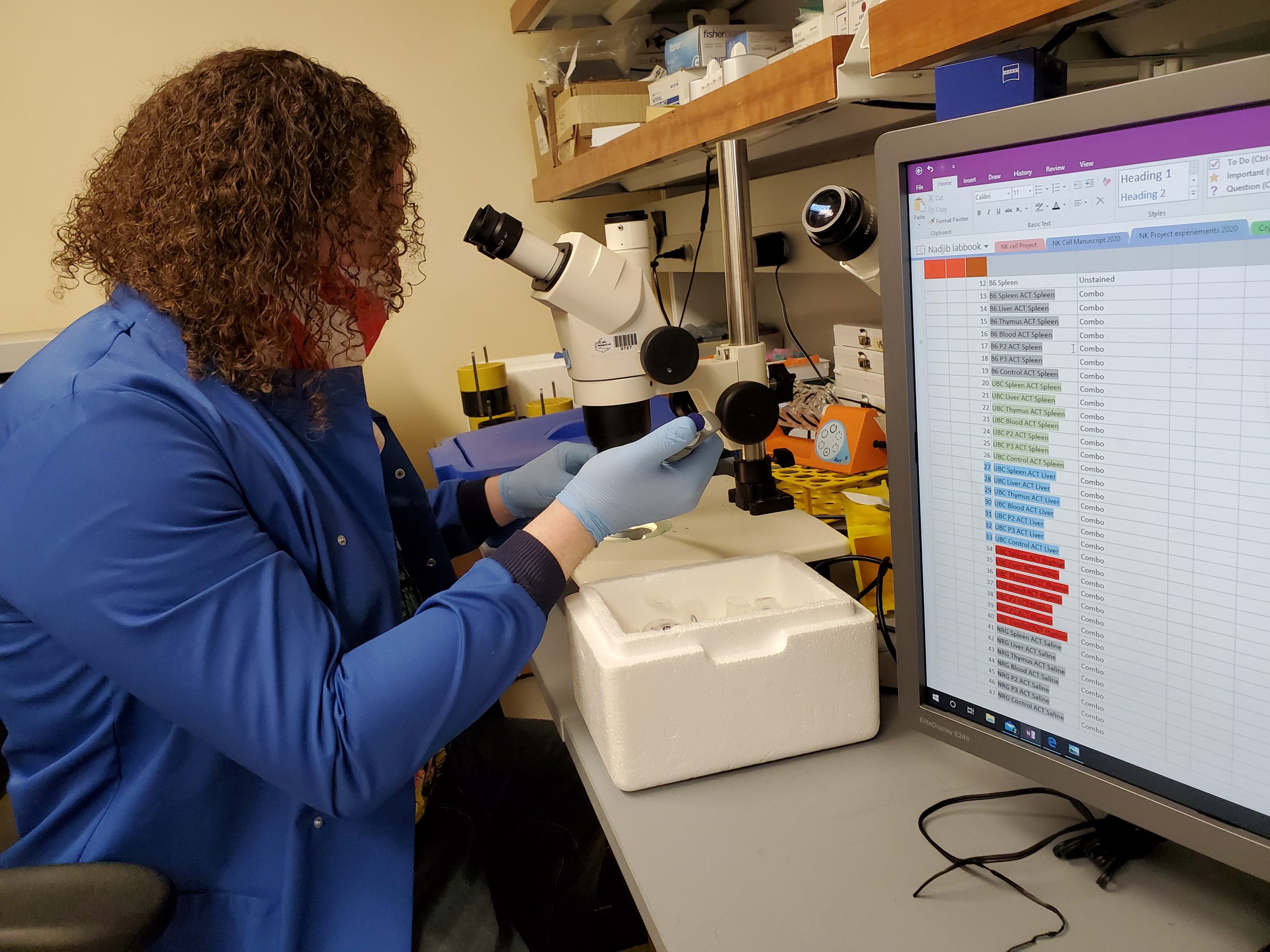 Mike looking into a microscope counting cells in his lab with a New Harvest mask on.