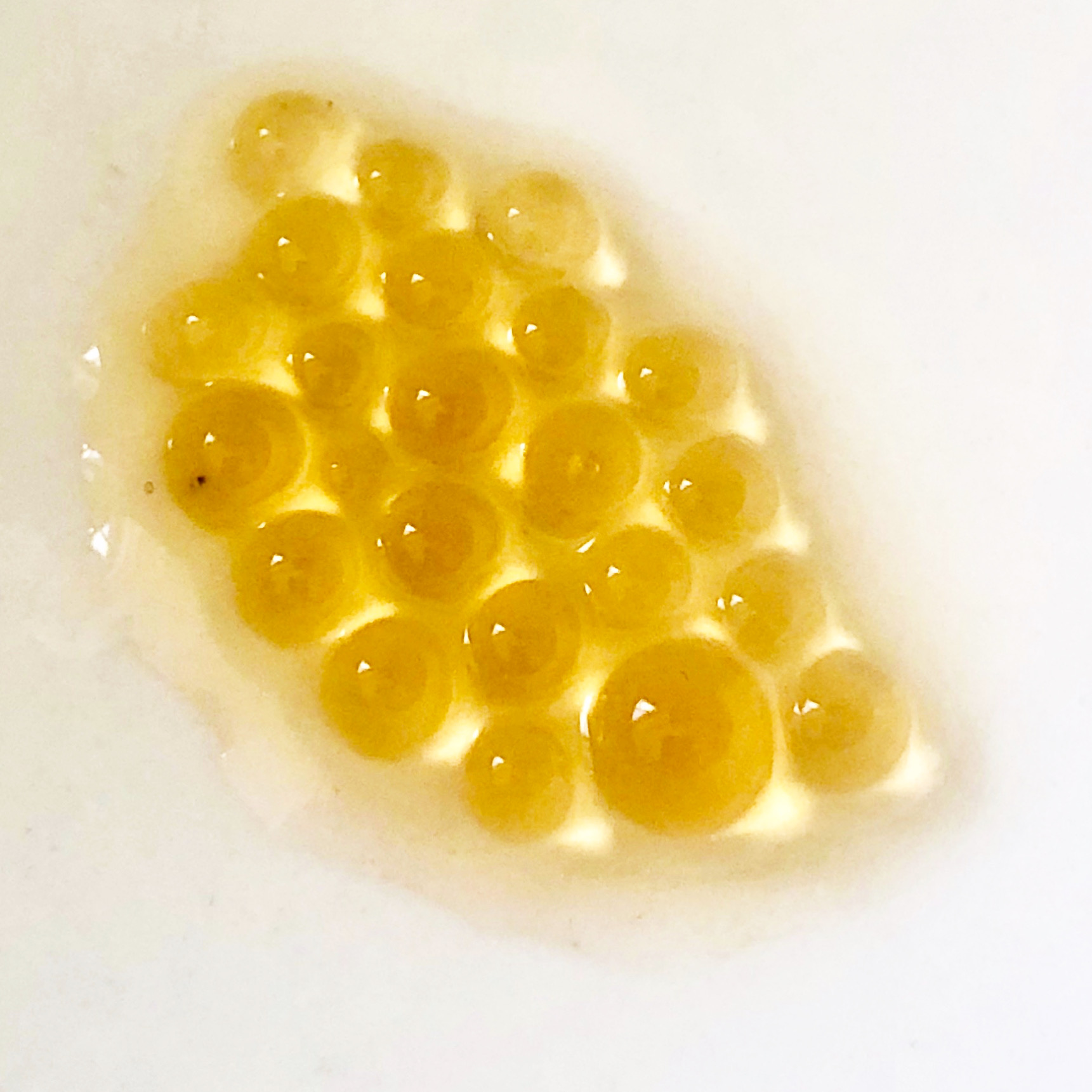 photo of alginate caviar 
