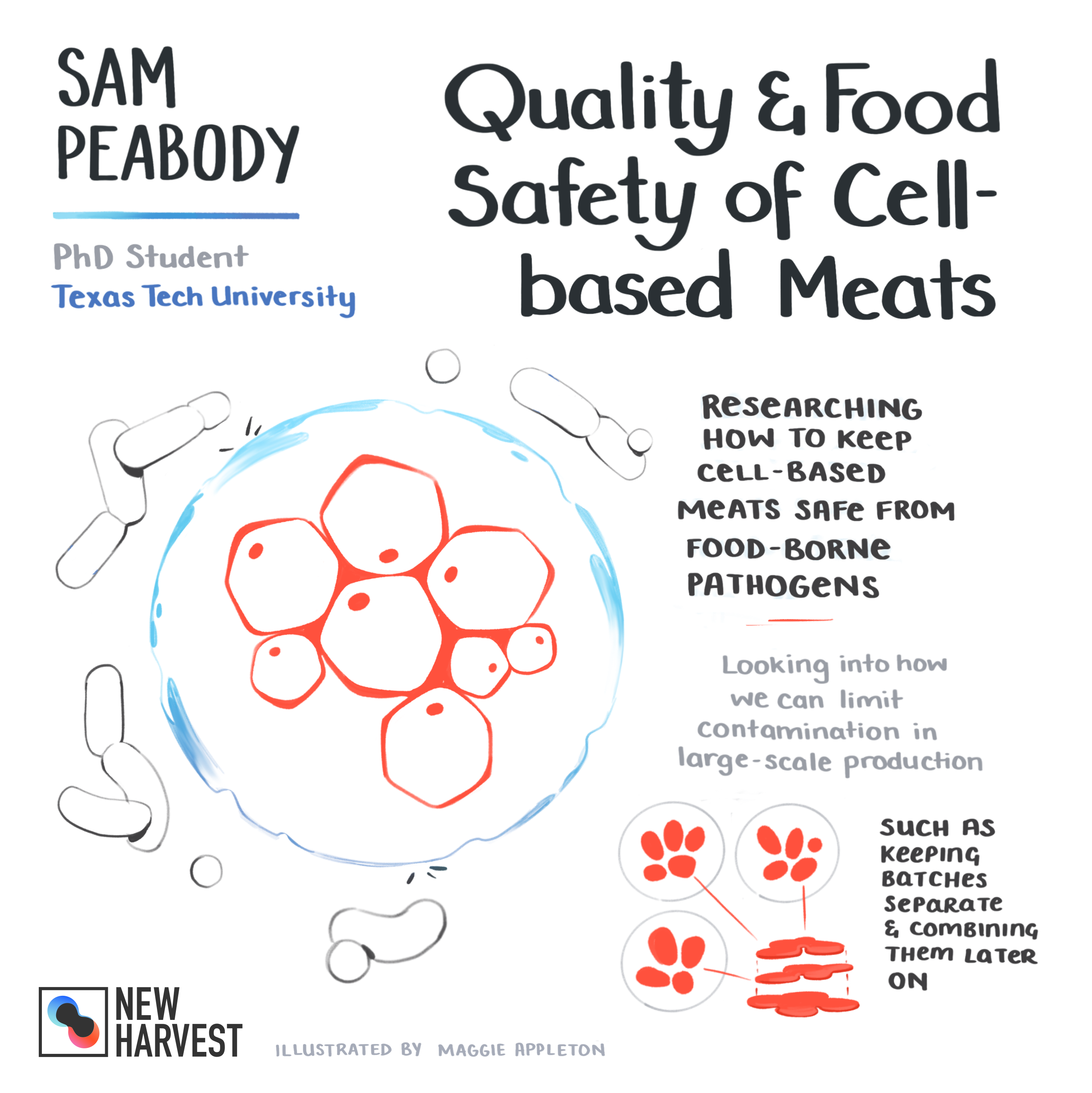 Diagram of Sam Peabody's breakdown of quality and food safety of cell based meat 