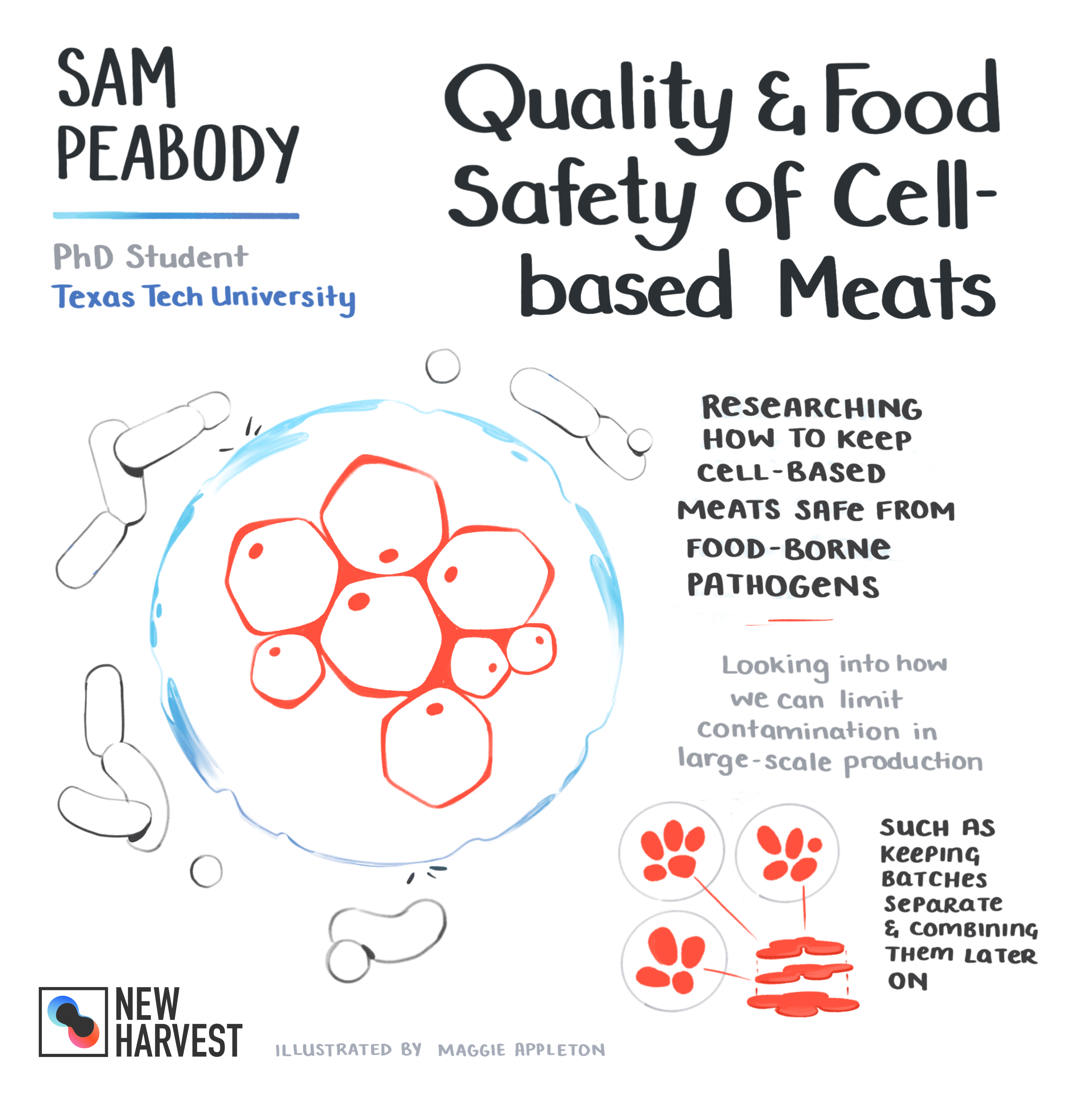 New technology reduces foodborne pathogens in meat