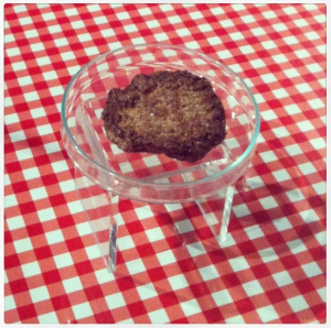 Photo of the cooked cultured burger in a petri dish on a gingham table cloth 