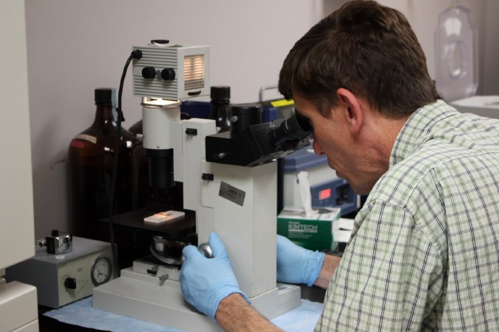 Dr. Paul at microscope