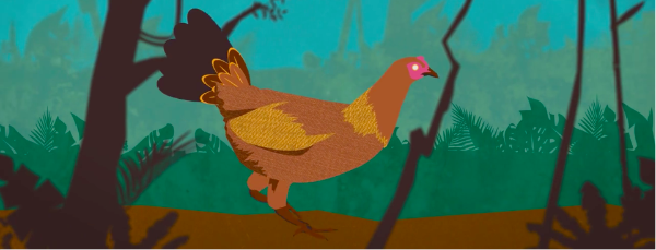 Derek Lau animated chicken