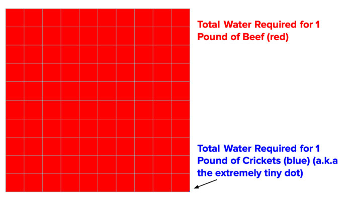 water requirements for beef versus crickets