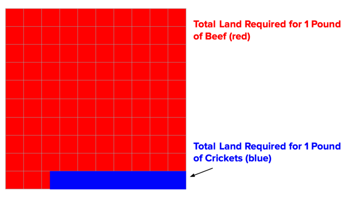 land requirements for beef versus crickets