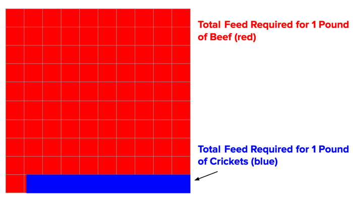 feed requirements for beef versus crickets