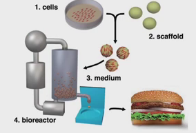 process of making cultured meat