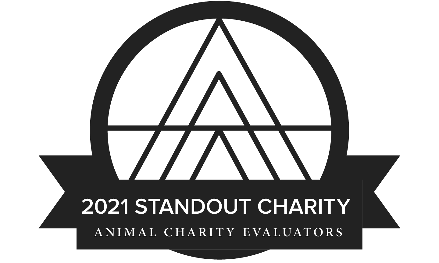 New Harvest is a 2021 standout charity according to Animal Charity Evaluators