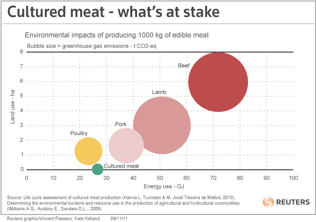 Bubbles showing the enviromental impact of cultured meat vs poultry, pork, lamb, and beef. THe other bubbles are very large and the bubble for cultured meat is a fraction size of the next smallest bubble