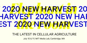 New Harvest 2020 Banner