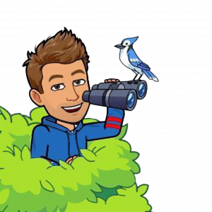 julian cohen bitmoji birdwatching