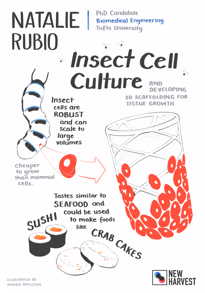 Diagrams of Natalie's research into insect cell culture