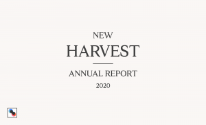 title page of 2020 annual report