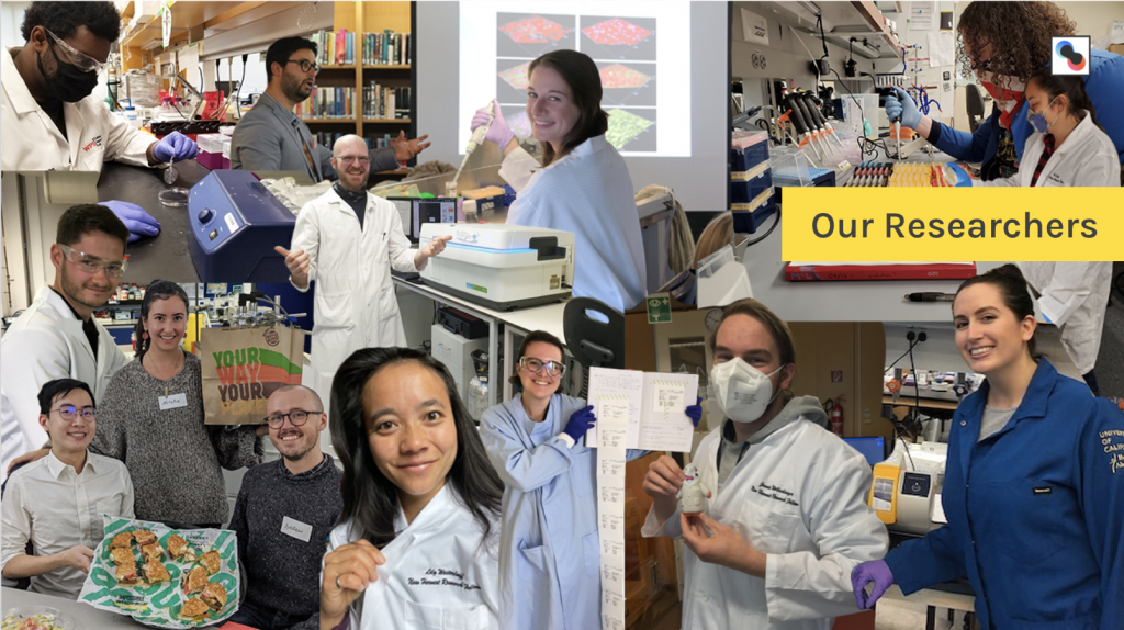 collage of smiling new harvest researchers in the lab