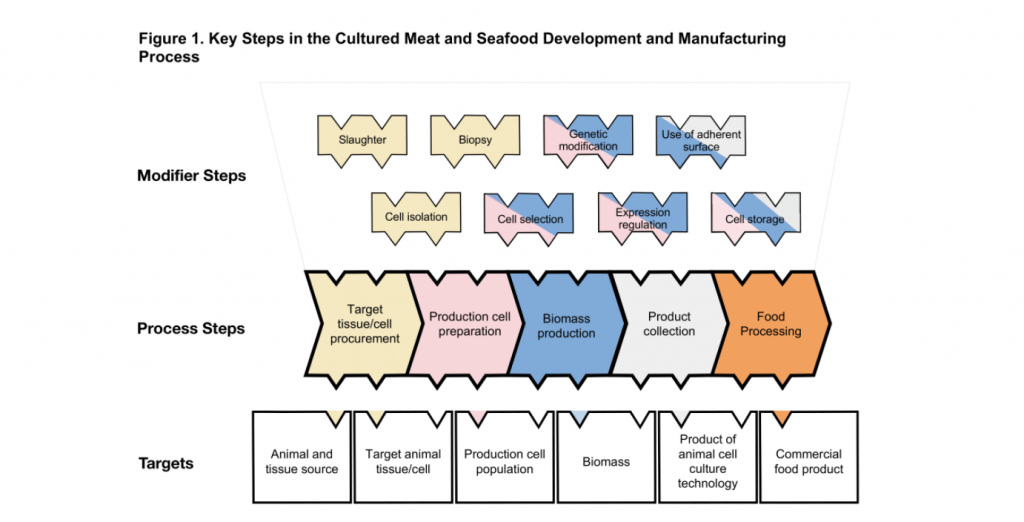 interlocking puzzle pieces to diagram cell ag safety processes