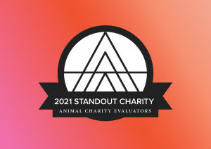 animal charity evaluators 2021 standout charity badge on a pink red orange gradient
