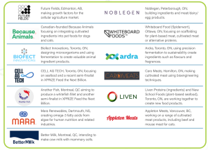 Logos and descriptions of thirteen cellular agriculture companies based in Canada, from Cellular Agriculture: Canada's $12.5 Billion Opportunity in Food Innovation